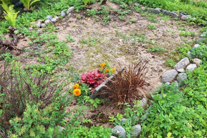 Hansal OÜ Puhastusteenused