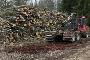 KK FOREST OÜ Haljastustööd