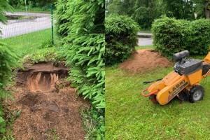 KK FOREST OÜ Haljastustööd