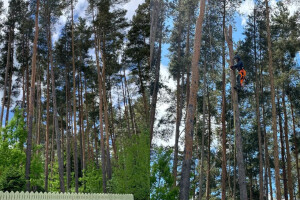 KK FOREST OÜ Haljastustööd