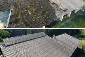 A&P GRUPP OÜ Survepesu, katuse puhasus, katuse räästate puhastus, katuse survepesu
