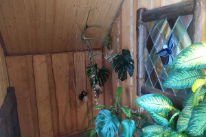 TIMBERLING PROSJEKT OÜ Puusepatööd