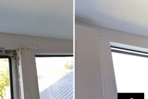 MIDLIS OÜ , puhastusteenus; akende puhastus; akende pesu; akende pesemine