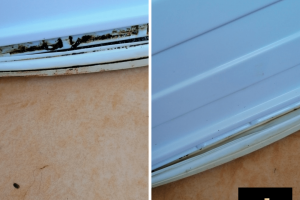 MIDLIS OÜ , puhastusteenused; akende puhastus; korterite koristus; äripindade koristus; klaaspindade puhastus