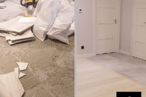 MIDLIS OÜ , puhastusteenused; ehitusjärgne koristus; remondijärgne koristus; koristamine