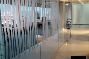 MIDLIS OÜ Puhastusteenused, puhastusteenused; akende puhastus; korterite koristus; äripindade koristus; klaaspindade puhastus