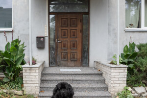 Trepipaigaldus OÜ Trepiehitus