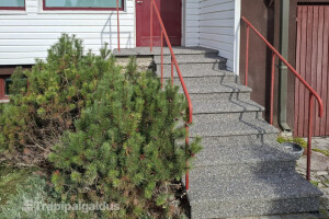 Trepipaigaldus OÜ Trepiehitus