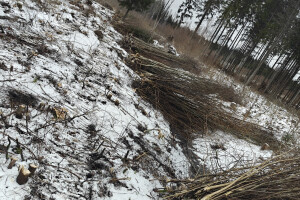 RISAPO OÜ Maaparandustööd