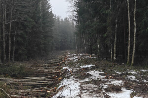 RISAPO OÜ Pinnasetööd