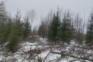 MÕTSAMIIS OÜ Kinnisvara hooldamine