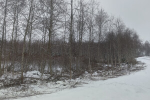 MÕTSAMIIS OÜ Kinnisvara hooldamine