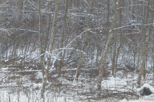 MÕTSAMIIS OÜ Kinnisvara hooldamine