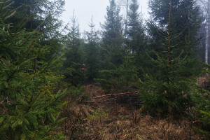 MÕTSAMIIS OÜ Kinnisvara hooldamine