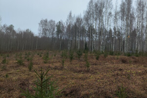 MÕTSAMIIS OÜ Kinnisvara hooldamine