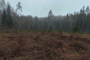 MÕTSAMIIS OÜ Kinnisvara hooldamine
