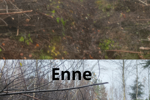 MÕTSAMIIS OÜ Kinnisvara hooldamine