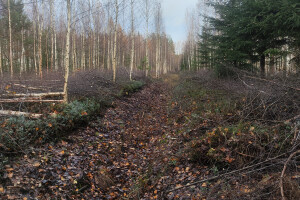 MÕTSAMIIS OÜ Kinnisvara hooldamine