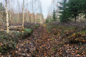 MÕTSAMIIS OÜ Kinnisvara hooldamine
