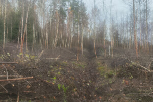 MÕTSAMIIS OÜ Kinnisvara hooldamine