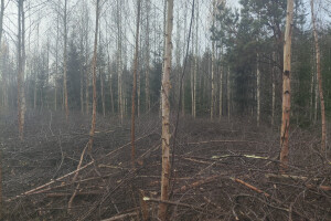 MÕTSAMIIS OÜ Kinnisvara hooldamine