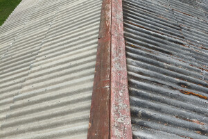 MÕTSAMIIS OÜ Kinnisvara hooldamine