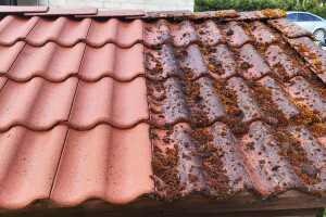 MÕTSAMIIS OÜ Kinnisvara hooldamine