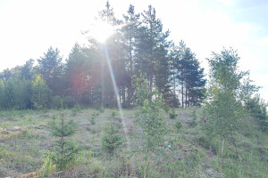 MÕTSAMIIS OÜ Kinnisvara hooldamine