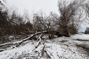 KRIMM CO OÜ Lammutustööd