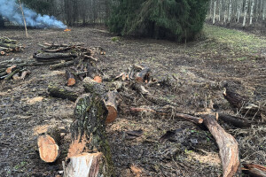 KRIMM CO OÜ Lammutustööd