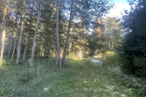 KRIMM CO OÜ Pinnasetööd