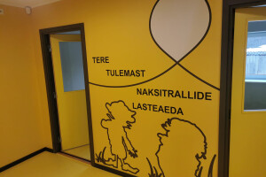 MULGI MAALER OÜ Viimistlustööd
