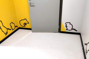 MULGI MAALER OÜ Viimistlustööd