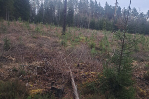 HVSAAG OÜ Haljastustööd