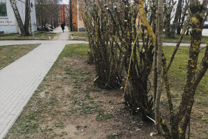 Vitos Puhastus OÜ Puhastusteenused