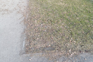 Vitos Puhastus OÜ Puhastusteenused, lehtede puhastus, lehtede puhastamine, välikoristus