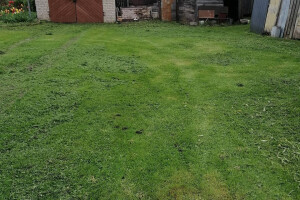 Vitos Puhastus OÜ Puhastusteenused, niitmine, muru niitmine, piiramine