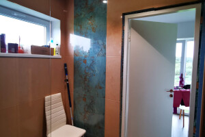 OLDHOUSE GROUP OÜ Viimistlustööd