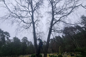 Puukaitse OÜ Haljastustööd