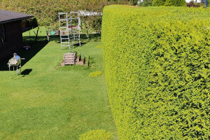 Puukaitse OÜ Haljastustööd