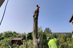 Puukaitse OÜ Haljastustööd