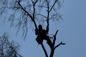 Puukaitse OÜ Haljastustööd