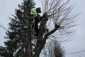 Puukaitse OÜ Haljastustööd