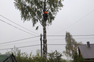 Puukaitse OÜ Haljastustööd