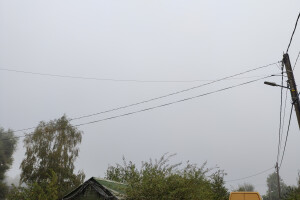 Puukaitse OÜ Haljastustööd