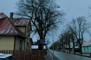 Puukaitse OÜ Haljastustööd