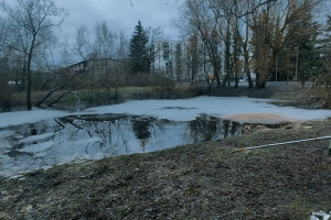 Puukaitse OÜ Haljastustööd