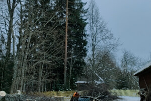 Puukaitse OÜ Haljastustööd