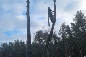 Puukaitse OÜ Haljastustööd