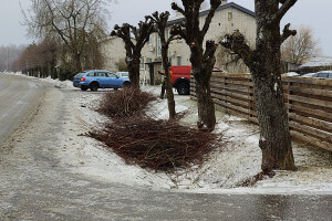 Puukaitse OÜ Haljastustööd